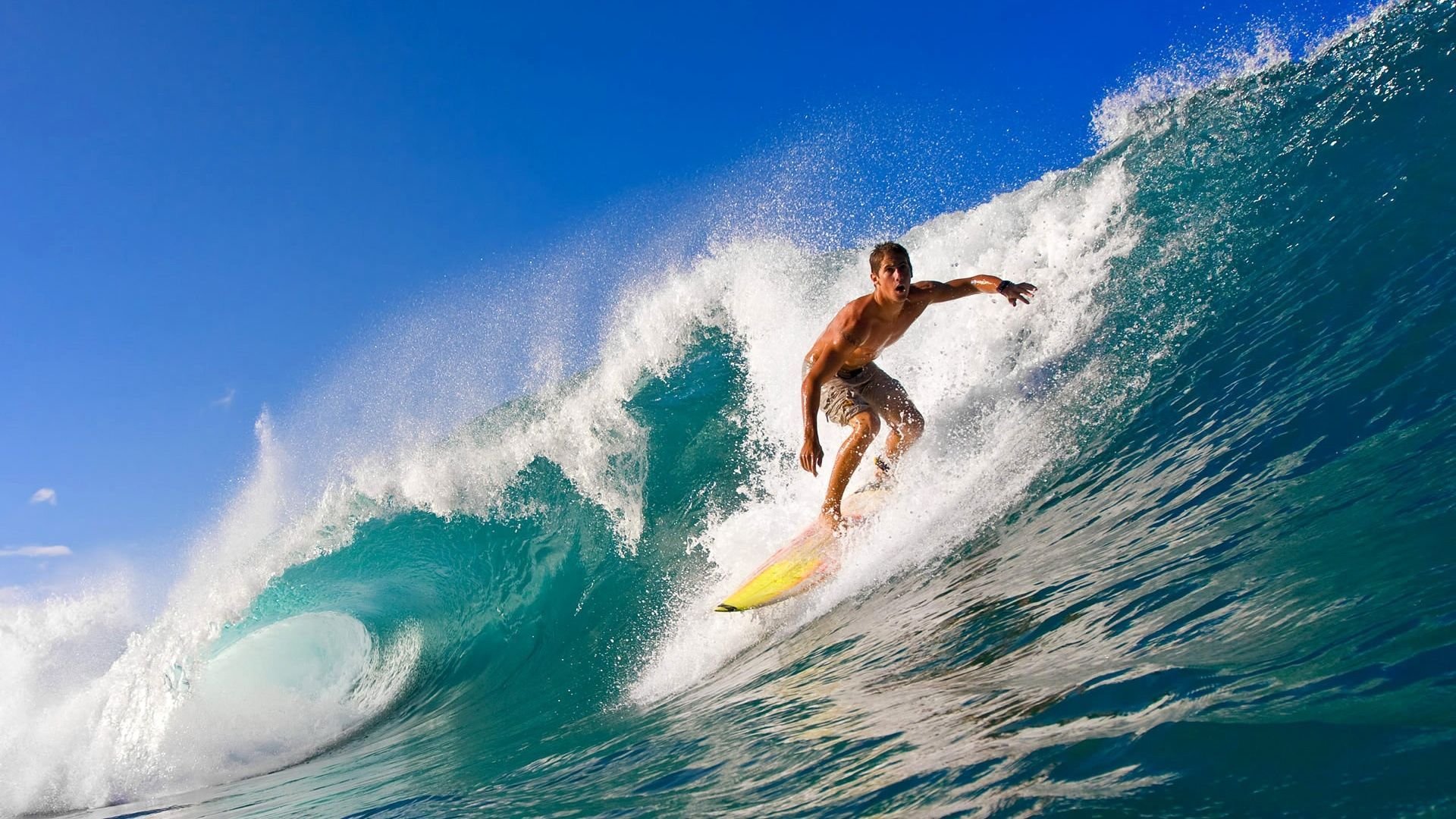 _多彩运动嘉年华：全民参与的欢乐盛会_，多姿多彩运动会