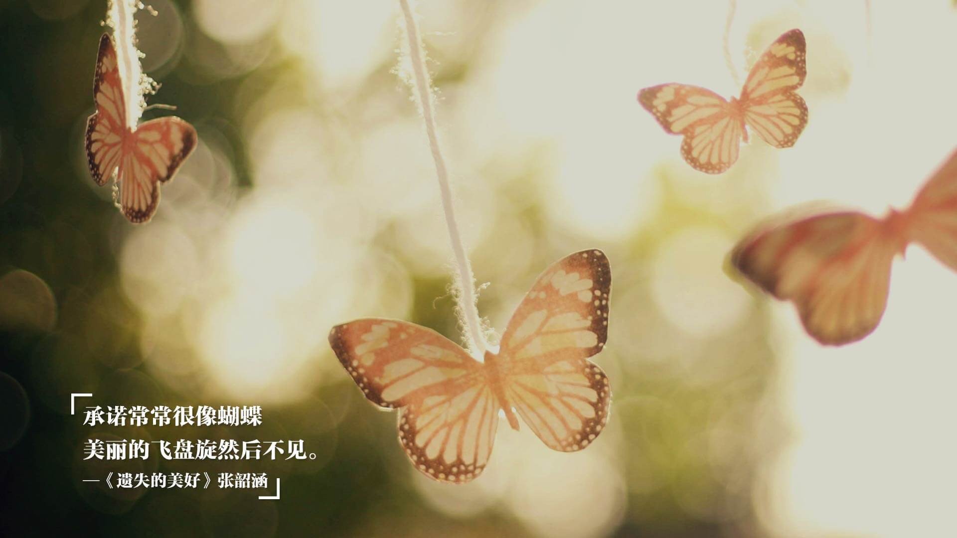 _多彩运动嘉年华：全民参与的欢乐盛会_，多姿多彩运动会