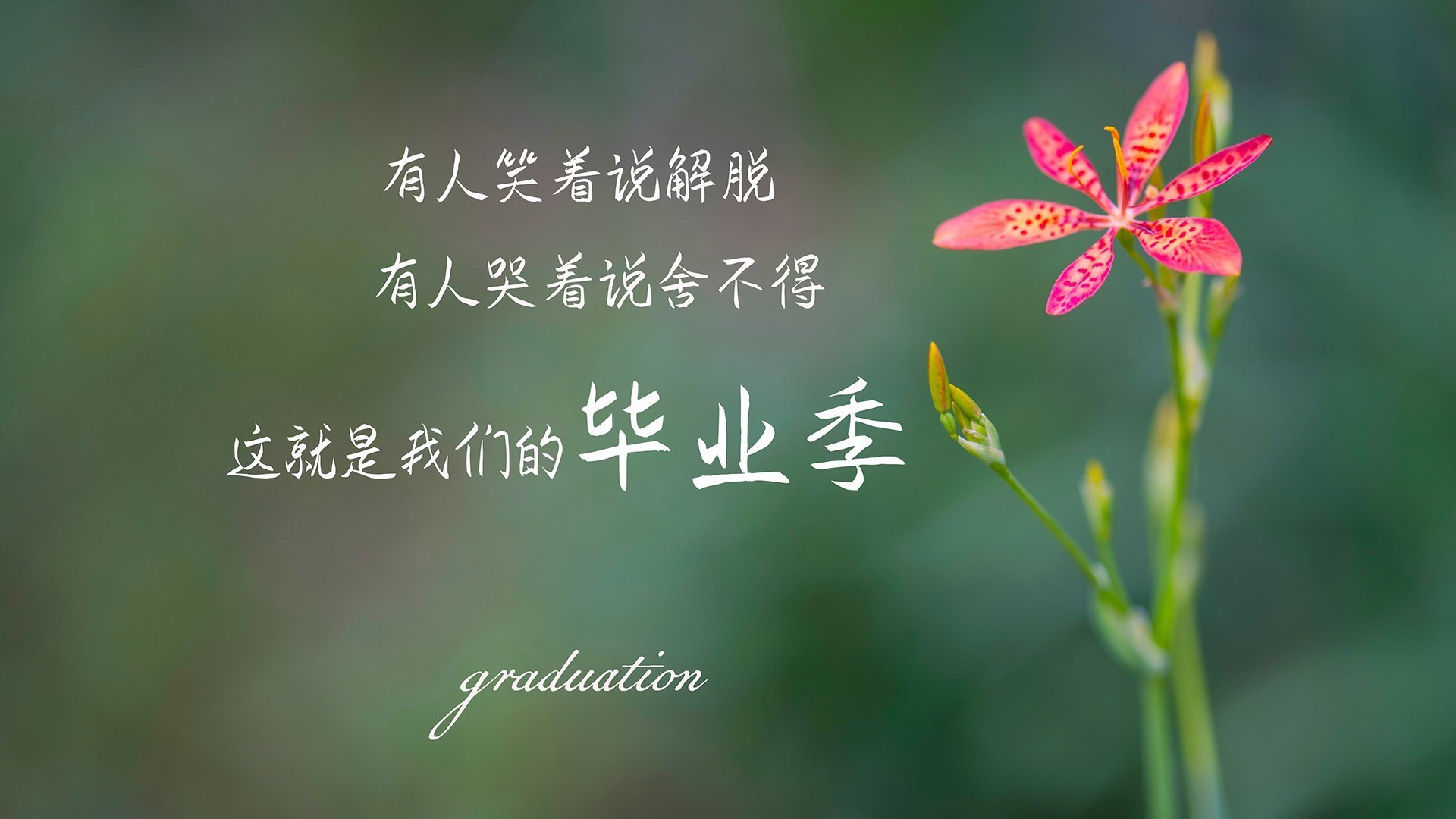 _社区运动广场：全民健身新空间_，社区健身活动中心