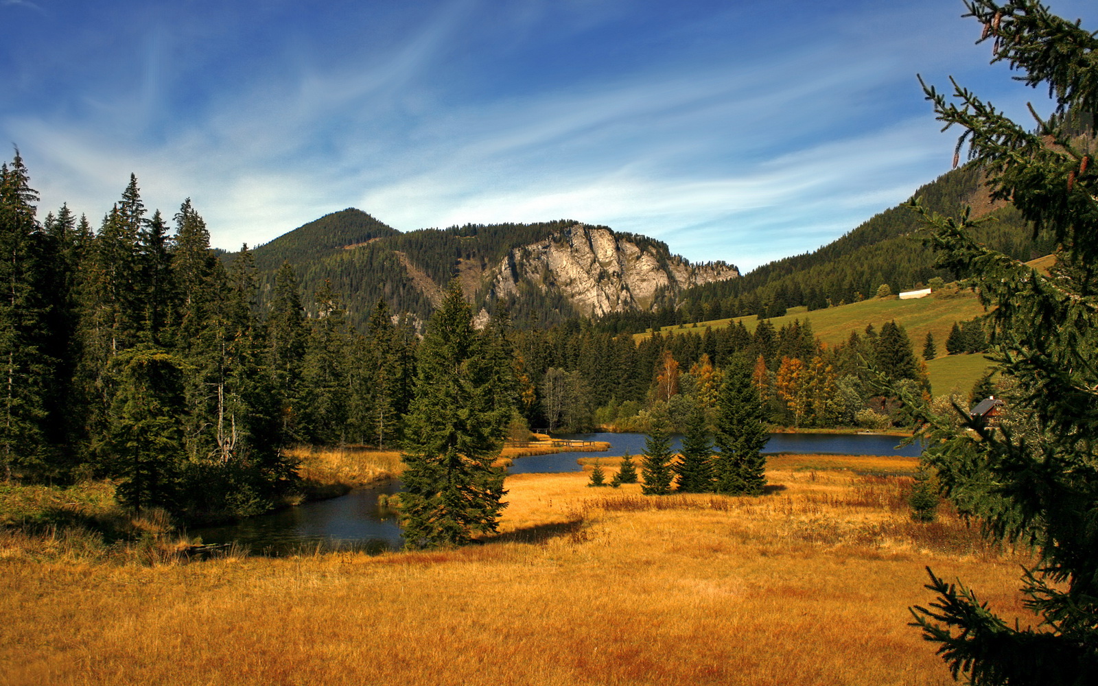 中国女篮年轻新秀崭露头角，未来可期，中国女篮最年轻的成员是谁