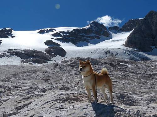 九游登录中心-克罗地亚队在巴黎奥运会手球比赛中以30_29战胜日本队，克罗地亚 队
