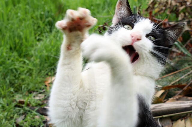 九游网页版官网-全国篮球明星对抗赛，星光璀璨的运动盛宴，篮球明星比赛