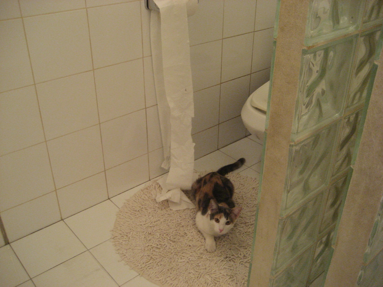 九游(jiuyou)官方网站-步行者投放“城市篮球主题电车”，成为新打卡地标，电动篮球