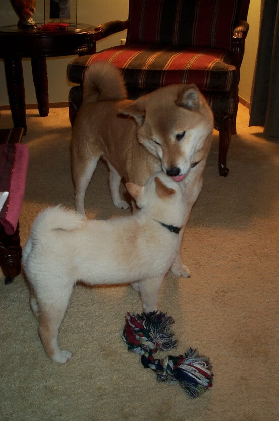 球员专访:赛后畅谈比赛心得,球赛后的感受