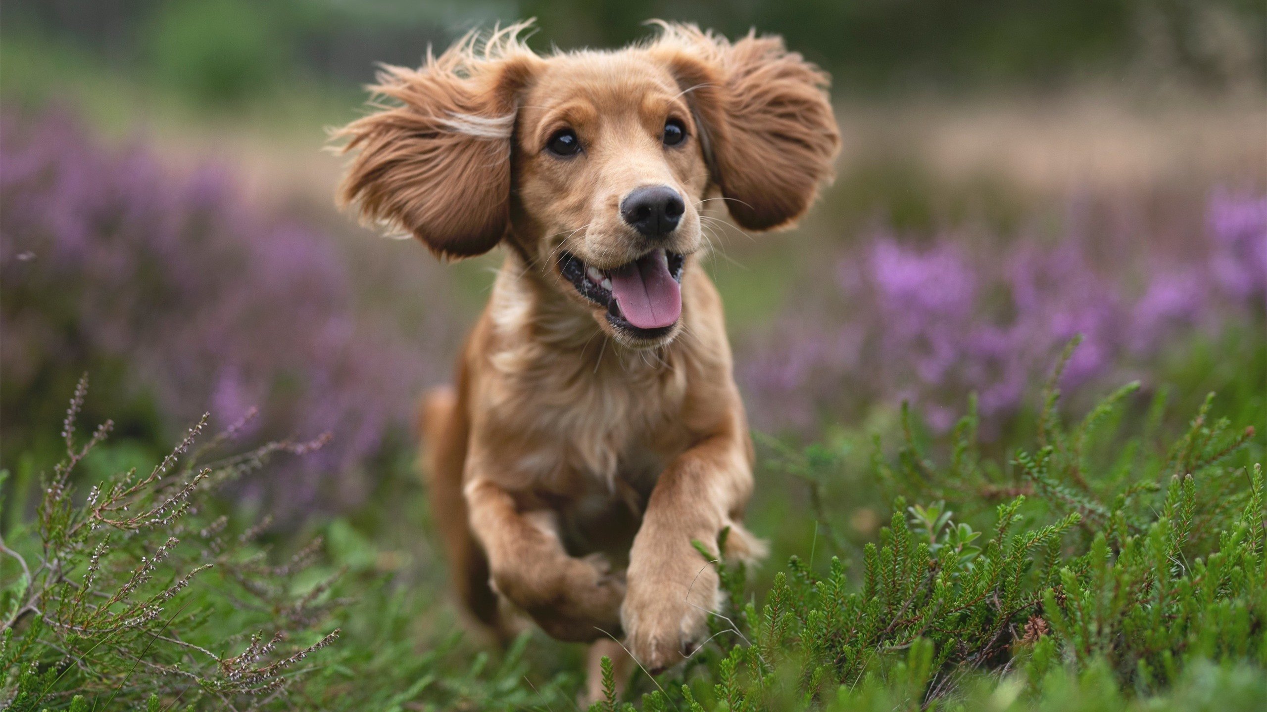 九游sports-赛季最震撼的绝杀瞬间，球场上“下一秒”谁能超越？，单赛季绝杀次数最多的球员