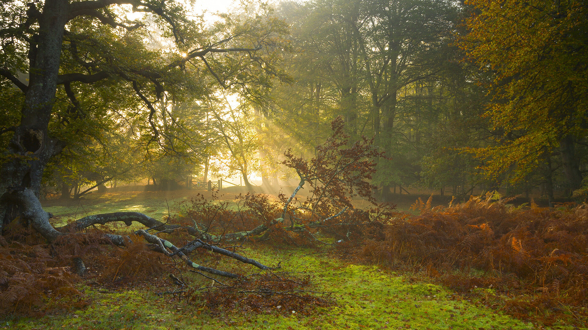 乌迪内斯发起冲锋，曼城无怨无悔，乌迪内斯足球