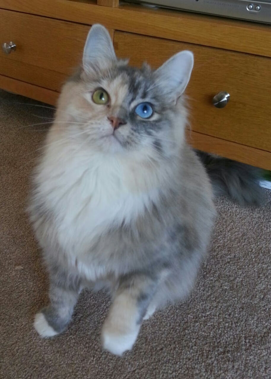 九游娱乐APP-南特官方宣布引进中场新援，提升球队实力，南特是什么意思