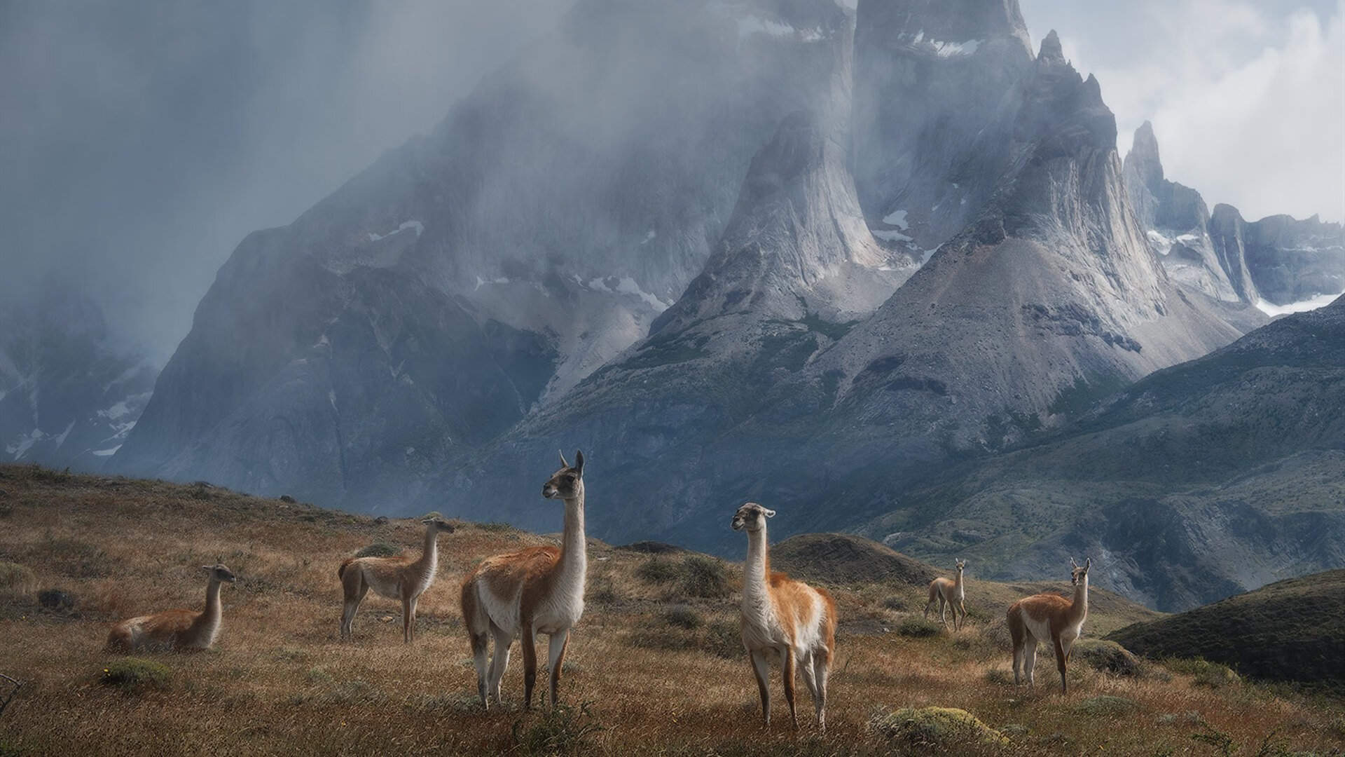 南安普顿中场核心:球队的发动机,南安普顿 球队