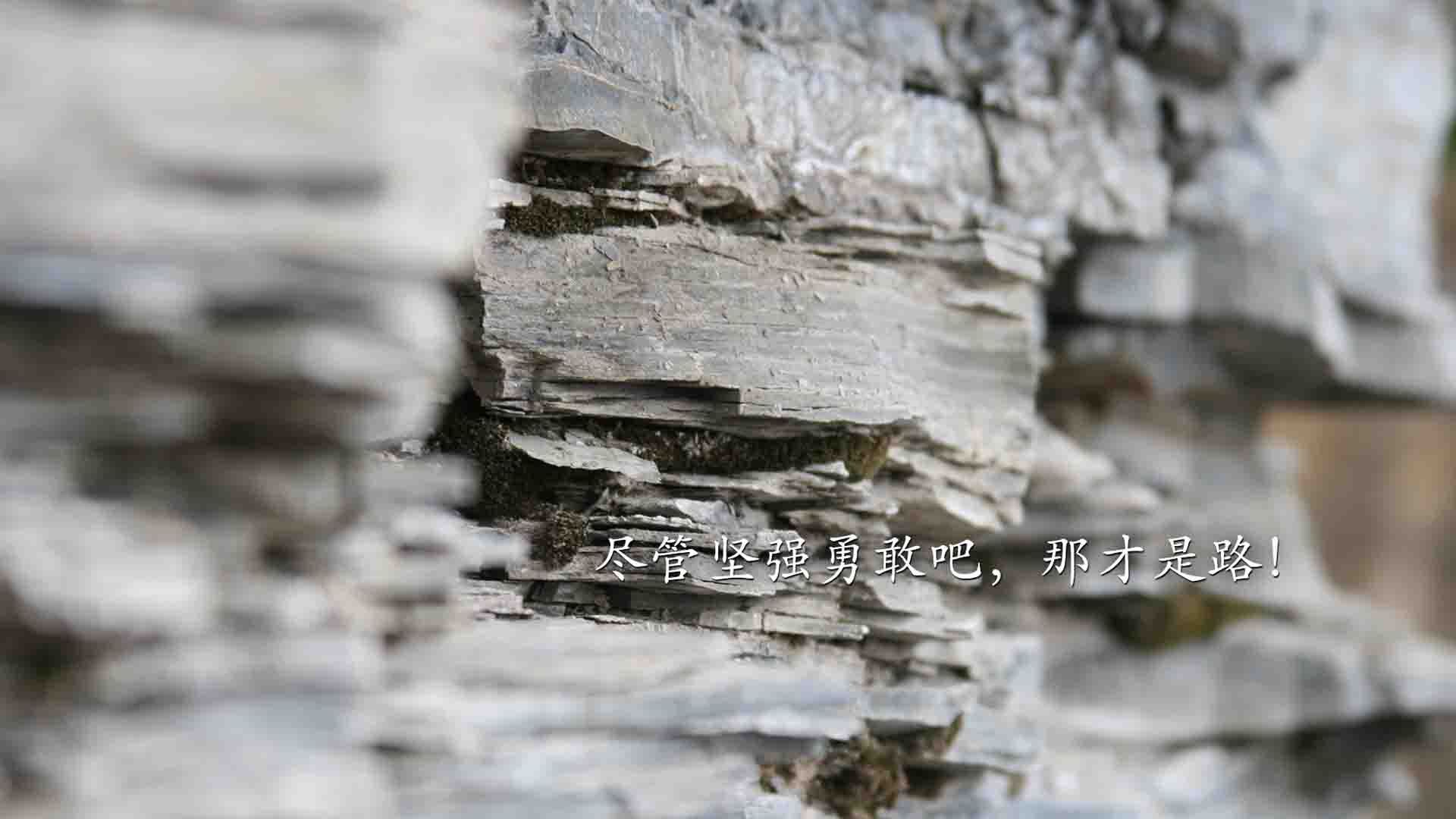 九游登录入口-埃瓦尔主场绝杀，摆脱降级区压力，埃瓦尔战绩