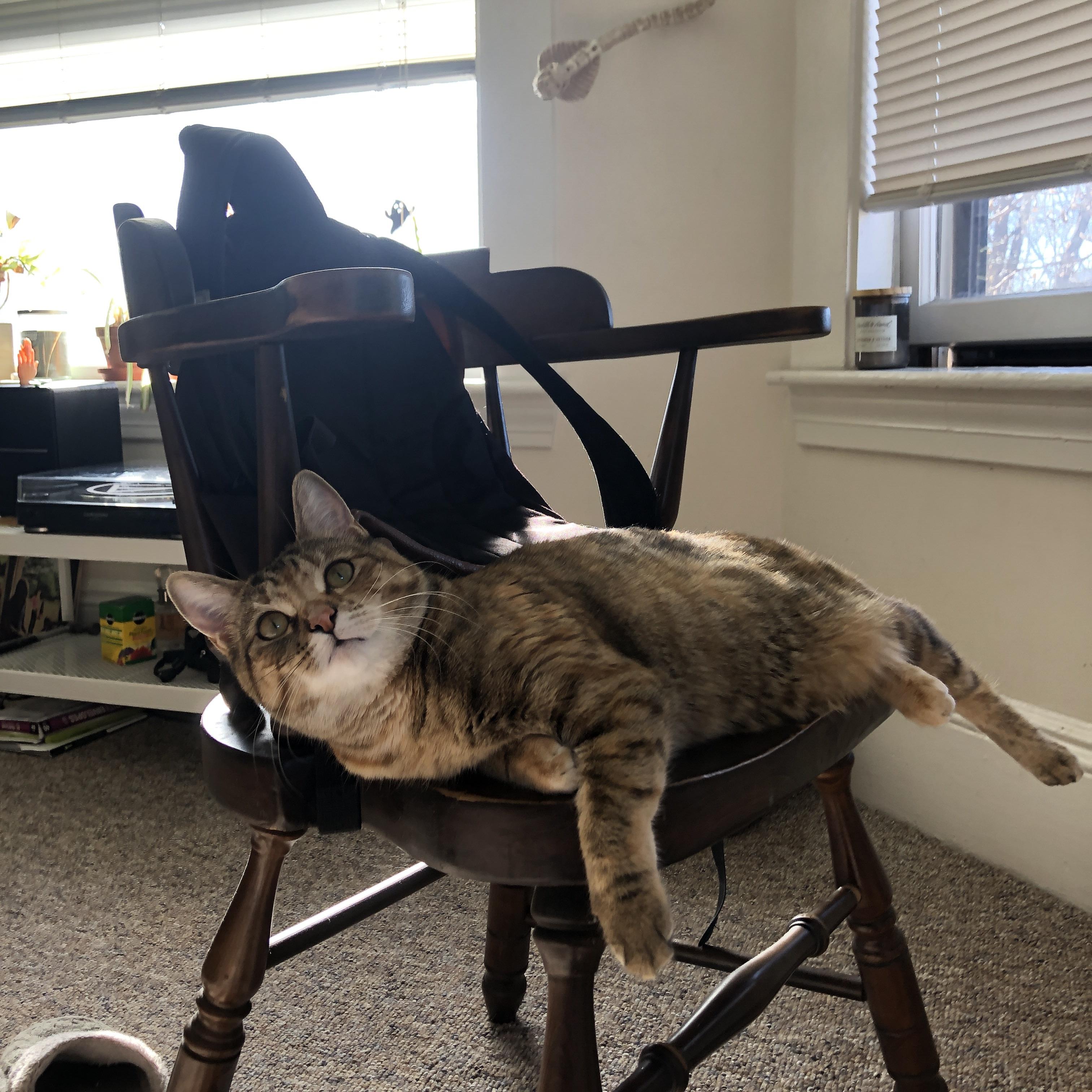 女足世界杯国际媒体报道聚焦,女足世界杯举办国