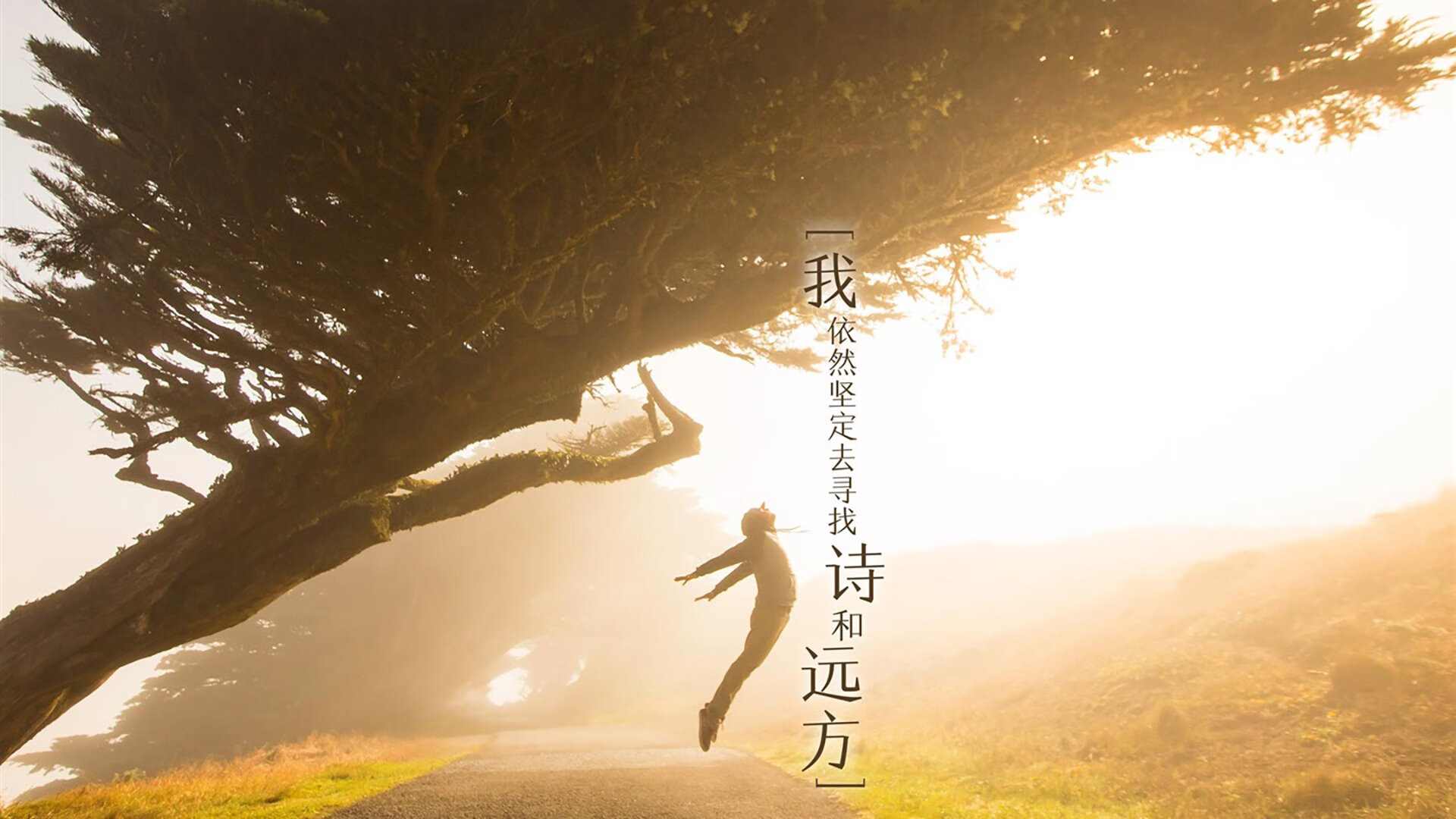 九游娱乐APP-奥格斯堡队遭遇强劲对手，不敌而归，奥格斯堡对门兴