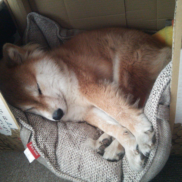 九游（jiuyou.com）游戏-河床赛季连胜提升信心，河床赛程ds