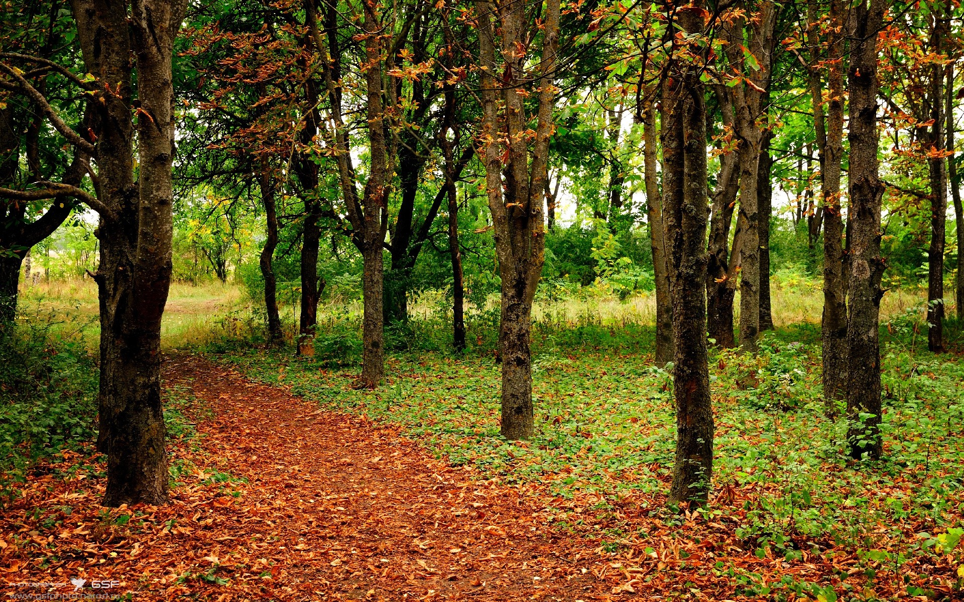 JiuyouAPP下载-罗马进攻端多点开花，进攻罗马的将军