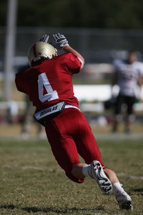 九游娱乐(jiuyou)官方网站-中超球队年度替补球员战术执行效率统计，中超替补年薪