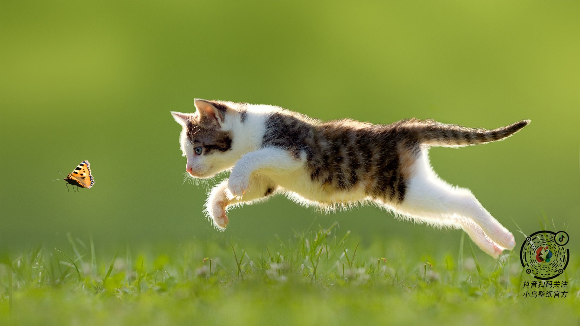 JiuyouAPP下载-中国女篮战术调整取得成效 进攻更具威胁，中国女蓝战绩