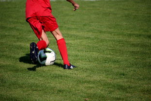 九游app官网下载-体育新闻中心发布体育短视频内容运营新策略，体育短视频存在的问题