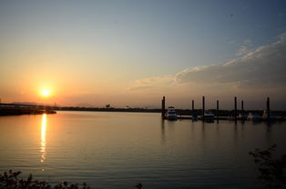 九游网页版入口-千帆竞发，轻艇马拉松点亮湖滨赛场，赛艇马拉松多少公里