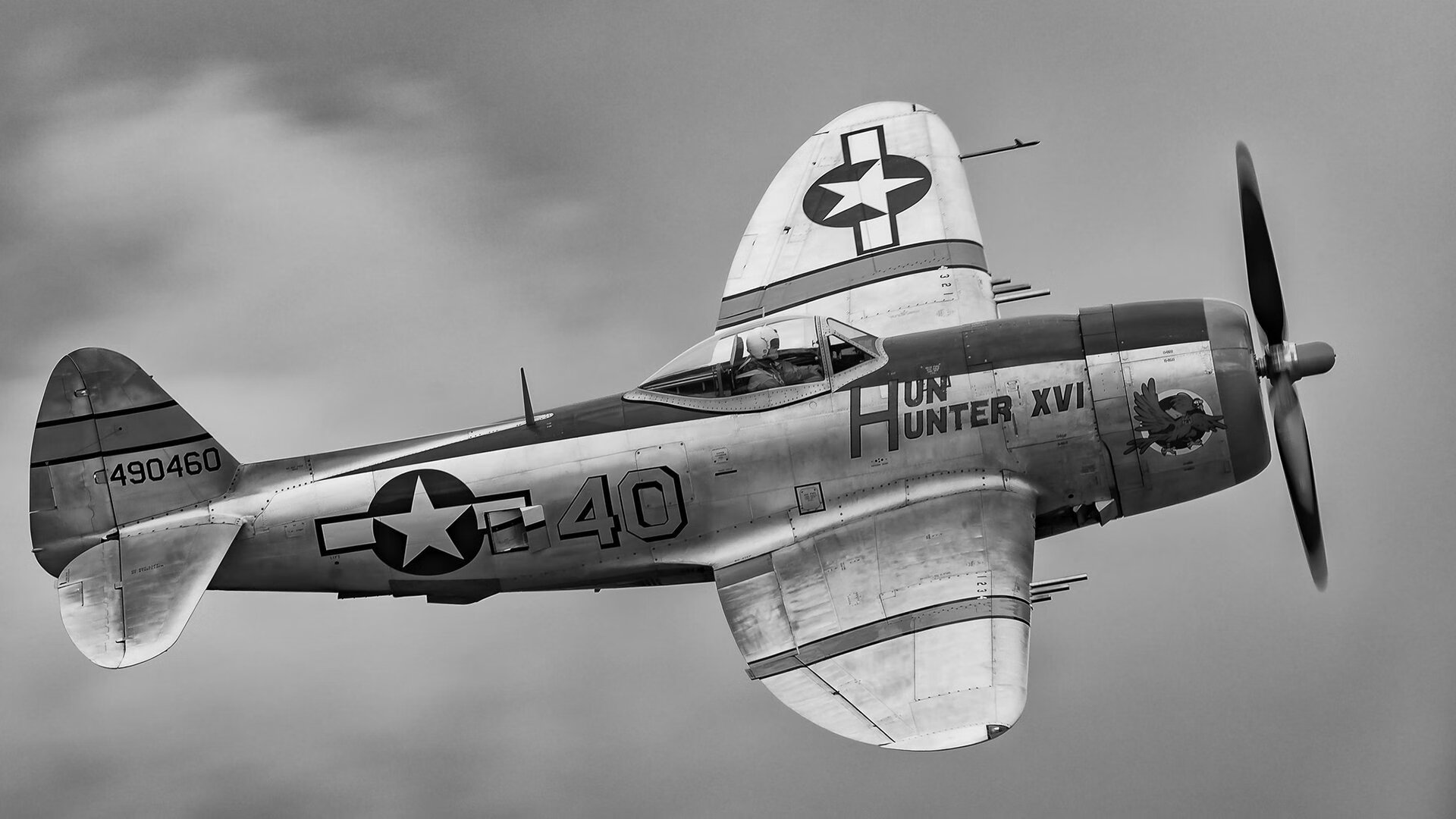 九游游戏中心官网-高校体育志愿者服务项目覆盖更多赛事，大型体育赛事志愿者