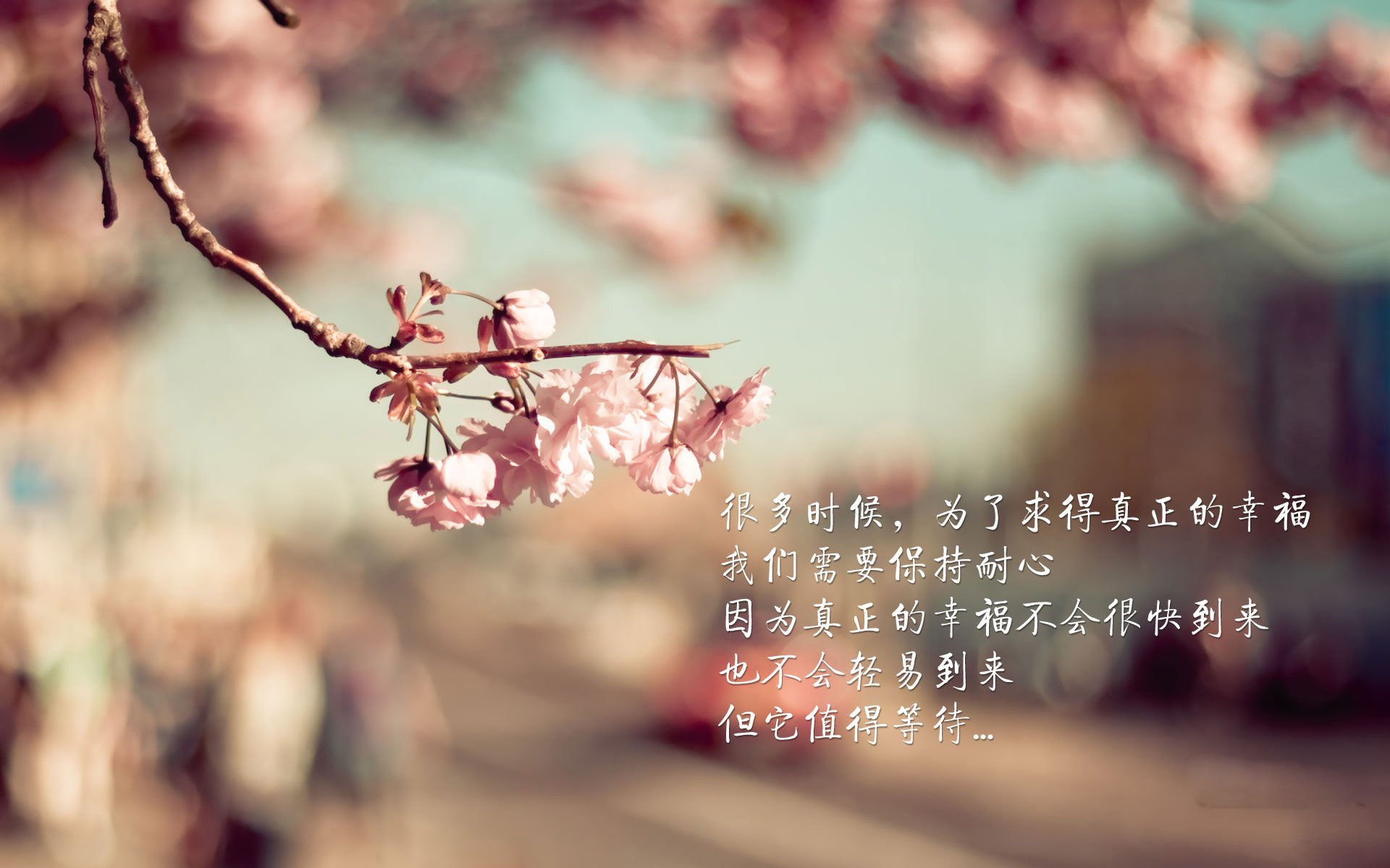 篮球三分球大赛地方预选正式开打，篮球三分球比赛