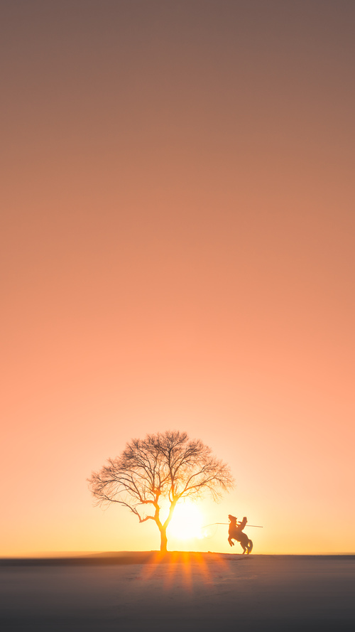 荷兰蝶泳新秀跻身决赛圈，荷兰游泳奥运冠军