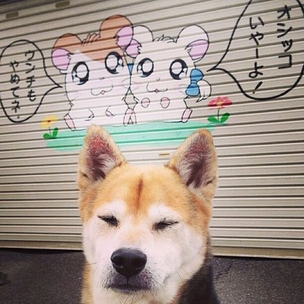 马刺注重传球流畅度增强团队感，马刺传切体系